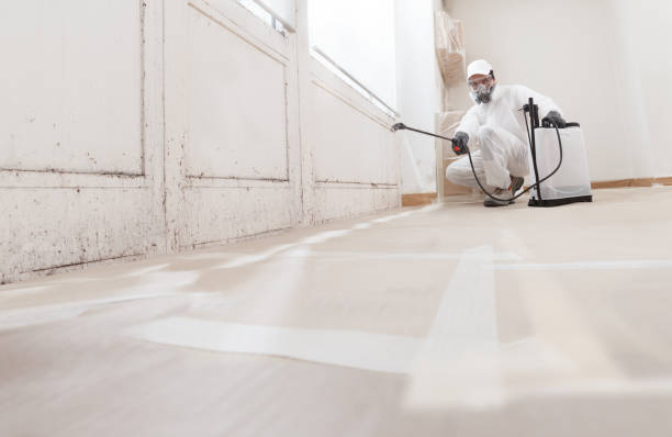 24/7 Emergency Mold Remediation experts in Boyce, VA